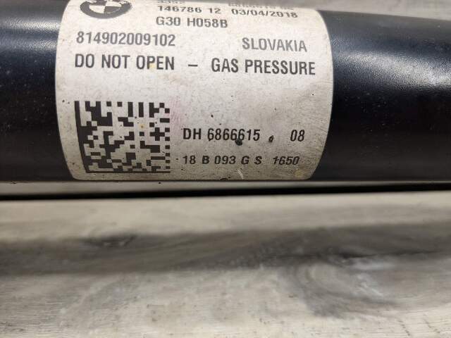 OEM BMW G30 530 540 REAR Left Right Suspension Strut Shock Absorber w/ Spring