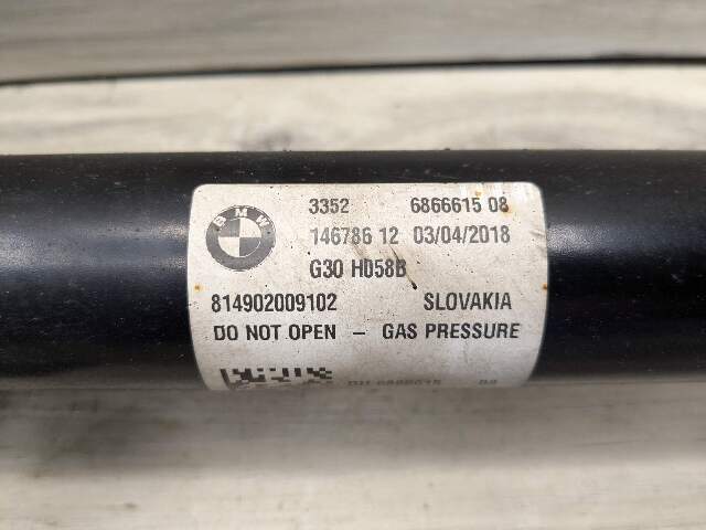 OEM BMW G30 530 540 REAR Left Right Suspension Strut Shock Absorber w/ Spring