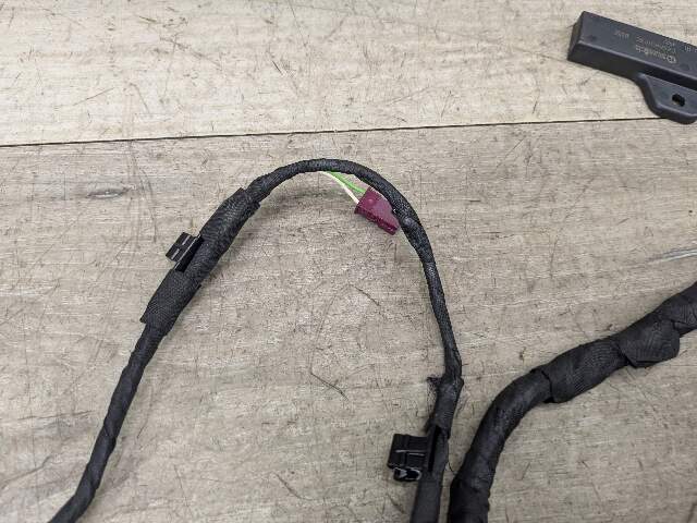 OEM BMW G29 Z4 Inner Keyless Entry Antenna Control Module Wire Harness