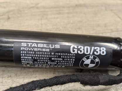 OEM BMW G30 F90 M5 530 540 M550 Rear Right Trunk Tailgate Shock Hatch Strut