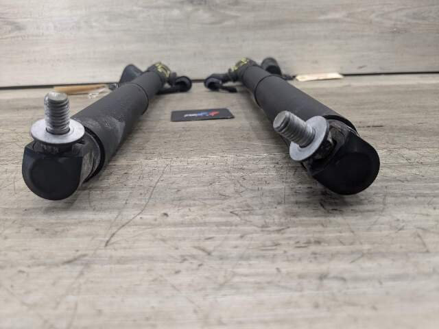 07-13 OEM BMW E70 X5 REAR Left Right Trunk Tailgate Shock Hatch Strut PAIR