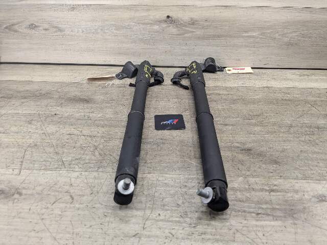 07-13 OEM BMW E70 X5 REAR Left Right Trunk Tailgate Shock Hatch Strut PAIR