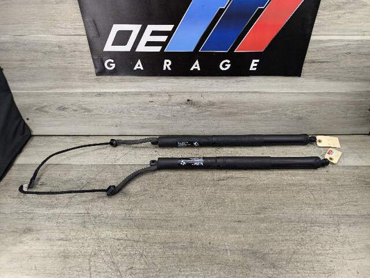 14-18 OEM BMW X5 F15 F85 Rear Left Right Trunk Tailgate Shock Hatch Strut Pair