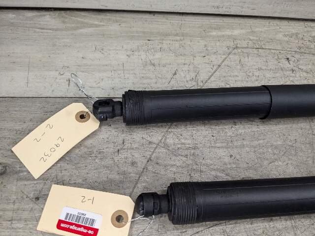 14-18 OEM BMW X5 F15 F85 Rear Left Right Trunk Tailgate Shock Hatch Strut Pair
