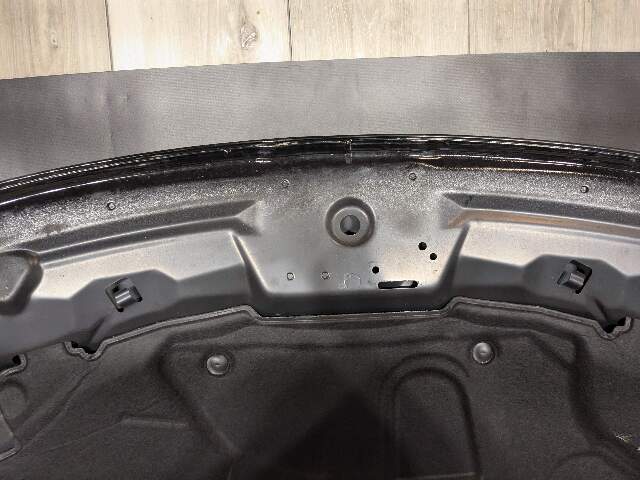 09-16 OEM BMW E89 Z4 Front Hood Bonnet Panel Shell Assembly Black 668