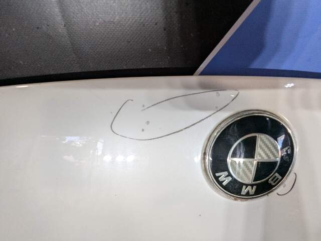 CHIPS* 09-15 OEM BMW F01 F02 740 750 760 Front Hood Bonnet Panel White