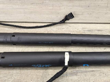 14-18 OEM BMW X5M F15 F85 Rear Left Right Trunk Tailgate Shock Hatch Strut Pair