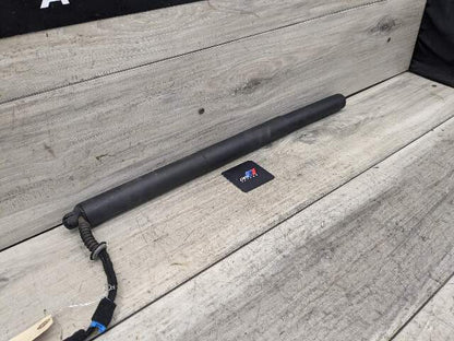 18-23 OEM BMW F39 X2  Rear Left Right Trunk Liftgate Shock Lift Support Strut
