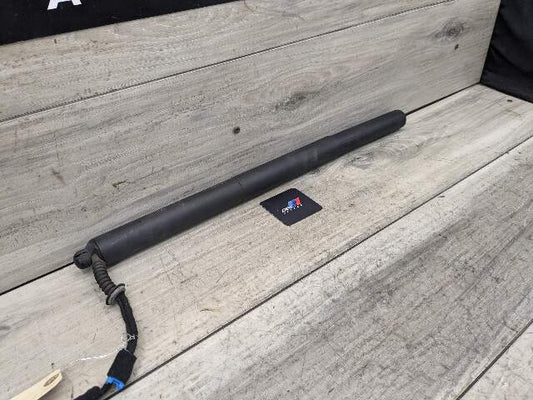 18-23 OEM BMW F39 X2  Rear Left Right Trunk Liftgate Shock Lift Support Strut