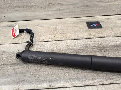 18-23 OEM BMW F39 X2  Rear Left Right Trunk Liftgate Shock Lift Support Strut