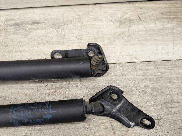 16-23 OEM BMW F48 X1 Rear Left Right Trunk Tailgate Shock Support Strut PAIR
