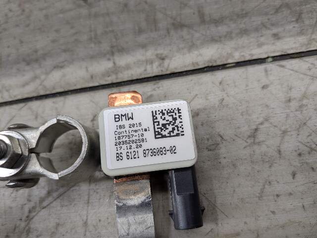 OEM BMW G01 G02 G11 G12 G30 F97 F98 750 X3 X4 Negative Battery Cable Wire Sensor