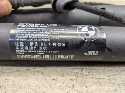 OEM BMW F15 F85 X5 X5M REAR Left Right Trunk Tailgate Shock Hatch Strut PAIR