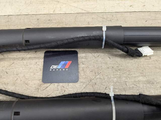 OEM BMW F15 F85 X5 X5M REAR Left Right Trunk Tailgate Shock Hatch Strut PAIR