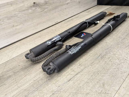 OEM BMW F15 F85 X5 X5M REAR Left Right Trunk Tailgate Shock Hatch Strut PAIR