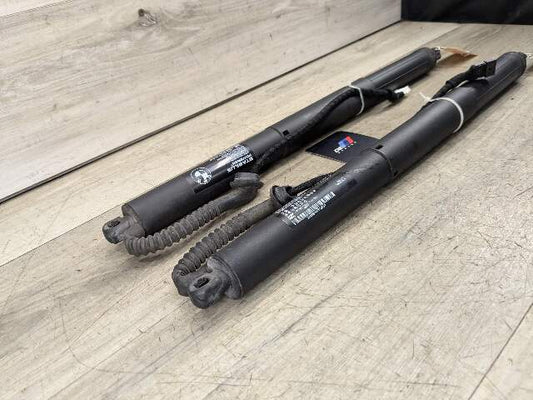 OEM BMW F15 F85 X5 X5M REAR Left Right Trunk Tailgate Shock Hatch Strut PAIR