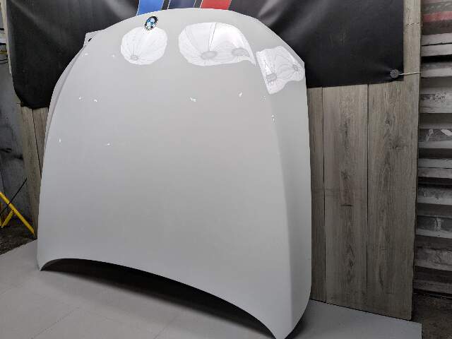 09-15 OEM BMW F01 F02 740 750 760 Front Hood Bonnet Panel White 300