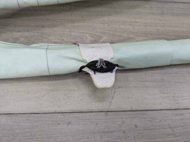 OEM BMW F30 F36 F80 M3 335 428 430 Left Driver Roof Head Air Bag Airbag Curtain