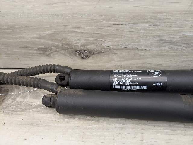 OEM BMW F15 F85 X5 X5M REAR Left Right Trunk Tailgate Shock Hatch Strut PAIR