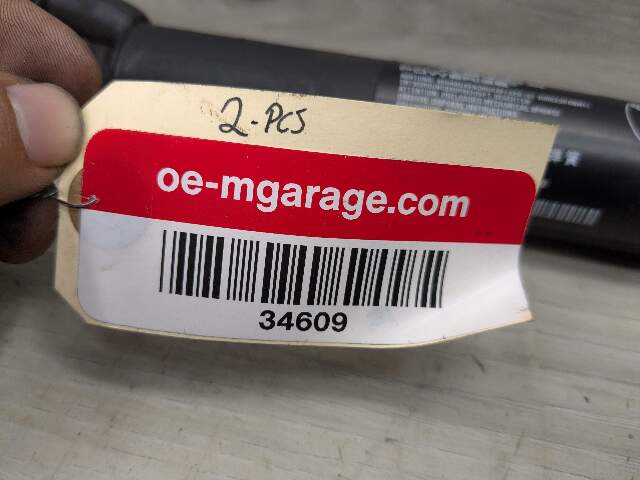 OEM BMW F15 F85 X5 X5M REAR Left Right Trunk Tailgate Shock Hatch Strut PAIR