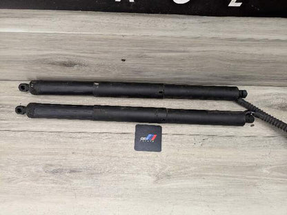14-18 OEM BMW F15 F85 X5 Rear Left Right Trunk Tailgate Shock Hatch Strut Pair