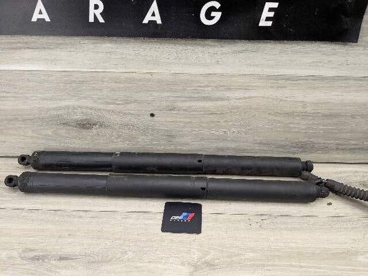 14-18 OEM BMW F15 F85 X5 Rear Left Right Trunk Tailgate Shock Hatch Strut Pair