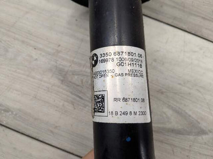 18-24 OEM BMW G01 X3 30i 30iX REAR Left Right Side Strut Shock Absorber Spring