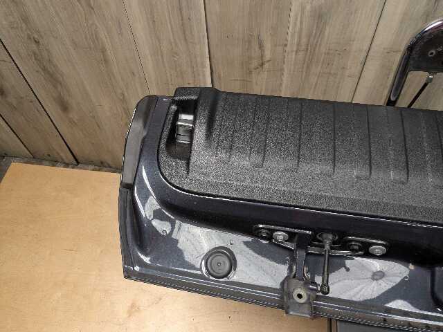 NOTE* OEM BMW F95 G05 G07 X5 X7 Rear Lower Trunk Tailgate Door Panel Deck Lid