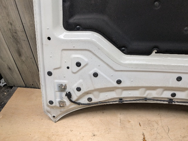 14-19 OEM BMW F15 F16 F85 F86 X5 X6 X5M X6M Hood Bonnet Panel White 300