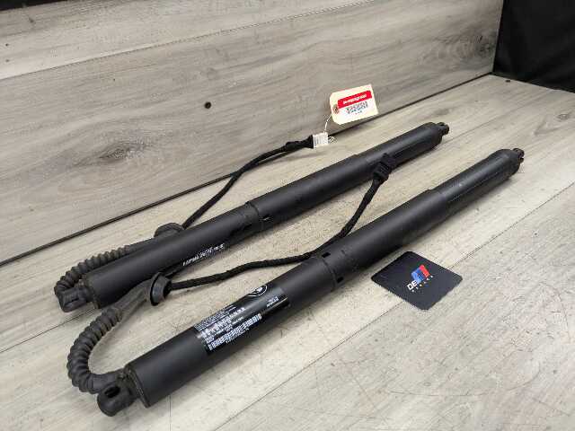 OEM BMW F15 F85 X5 X5M REAR Left Right Trunk Tailgate Shock Hatch Strut PAIR