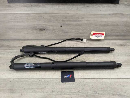 OEM BMW F15 F85 X5 X5M REAR Left Right Trunk Tailgate Shock Hatch Strut PAIR