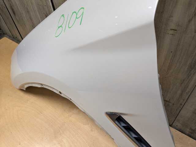 18-24 OEM BMW F97 F98 G01 G02 X3 X4 X3M Front Left Driver Fender Panel White A96