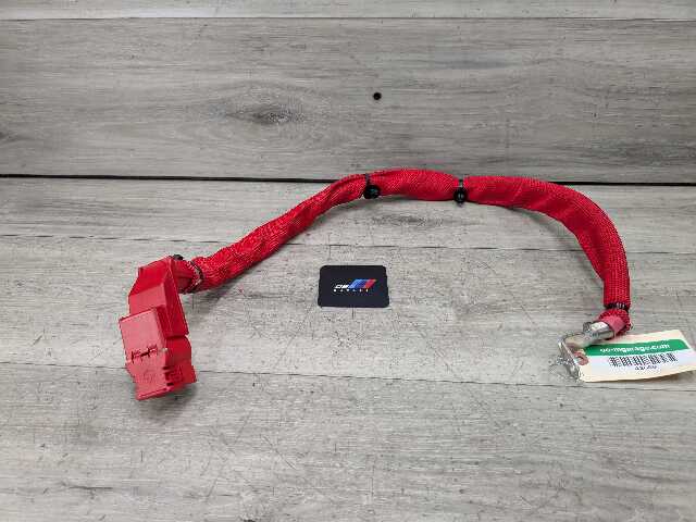 OEM BMW G01 G02 F97 F98 X3 X4 X3M Battery Plus Pole Terminal Positive Red Cable