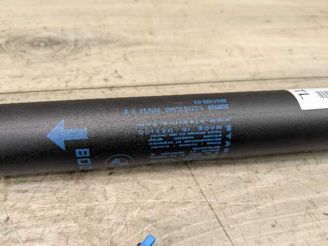 OEM BMW G01 F97 X3 X3M Rear Left Right Trunk Tailgate Shock Strut Lift SET