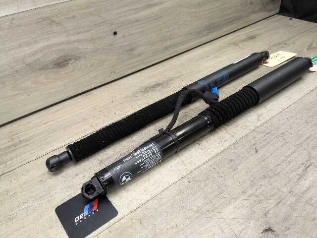 OEM BMW G01 F97 X3 X3M Rear Left Right Trunk Tailgate Shock Strut Lift SET