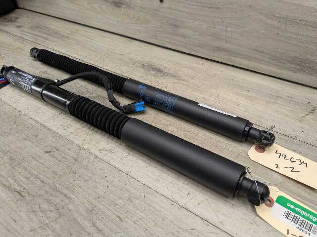 OEM BMW G01 F97 X3 X3M Rear Left Right Trunk Tailgate Shock Strut Lift SET