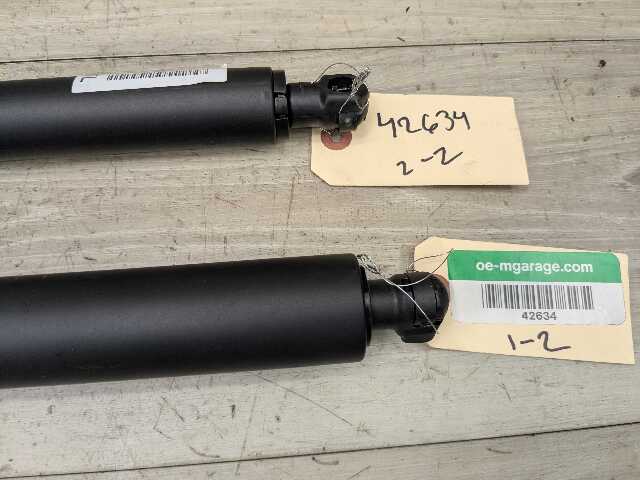 OEM BMW G01 F97 X3 X3M Rear Left Right Trunk Tailgate Shock Strut Lift SET