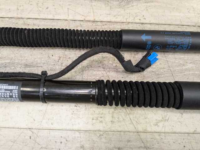 OEM BMW G01 F97 X3 X3M Rear Left Right Trunk Tailgate Shock Strut Lift SET