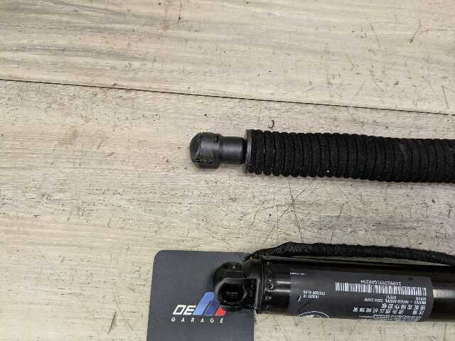 OEM BMW G01 F97 X3 X3M Rear Left Right Trunk Tailgate Shock Strut Lift SET