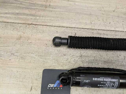 OEM BMW G01 F97 X3 X3M Rear Left Right Trunk Tailgate Shock Strut Lift SET