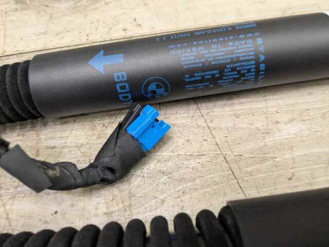 OEM BMW G01 F97 X3 X3M Rear Left Right Trunk Tailgate Shock Strut Lift SET