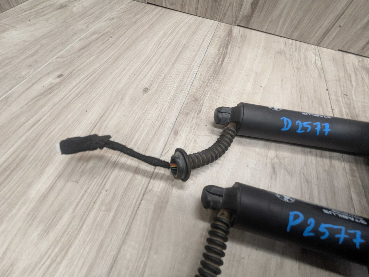 OEM BMW F48 X1 Rear Left Right Trunk Liftgate Shock Hatch Strut Supports SET