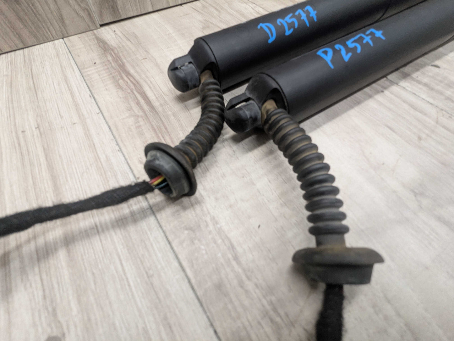 OEM BMW F48 X1 Rear Left Right Trunk Liftgate Shock Hatch Strut Supports SET