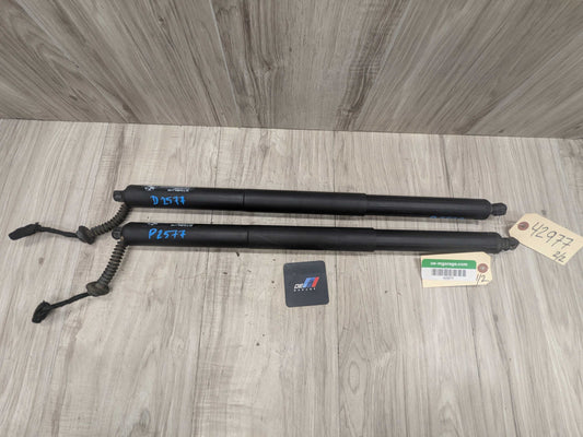 OEM BMW F48 X1 Rear Left Right Trunk Liftgate Shock Hatch Strut Supports SET
