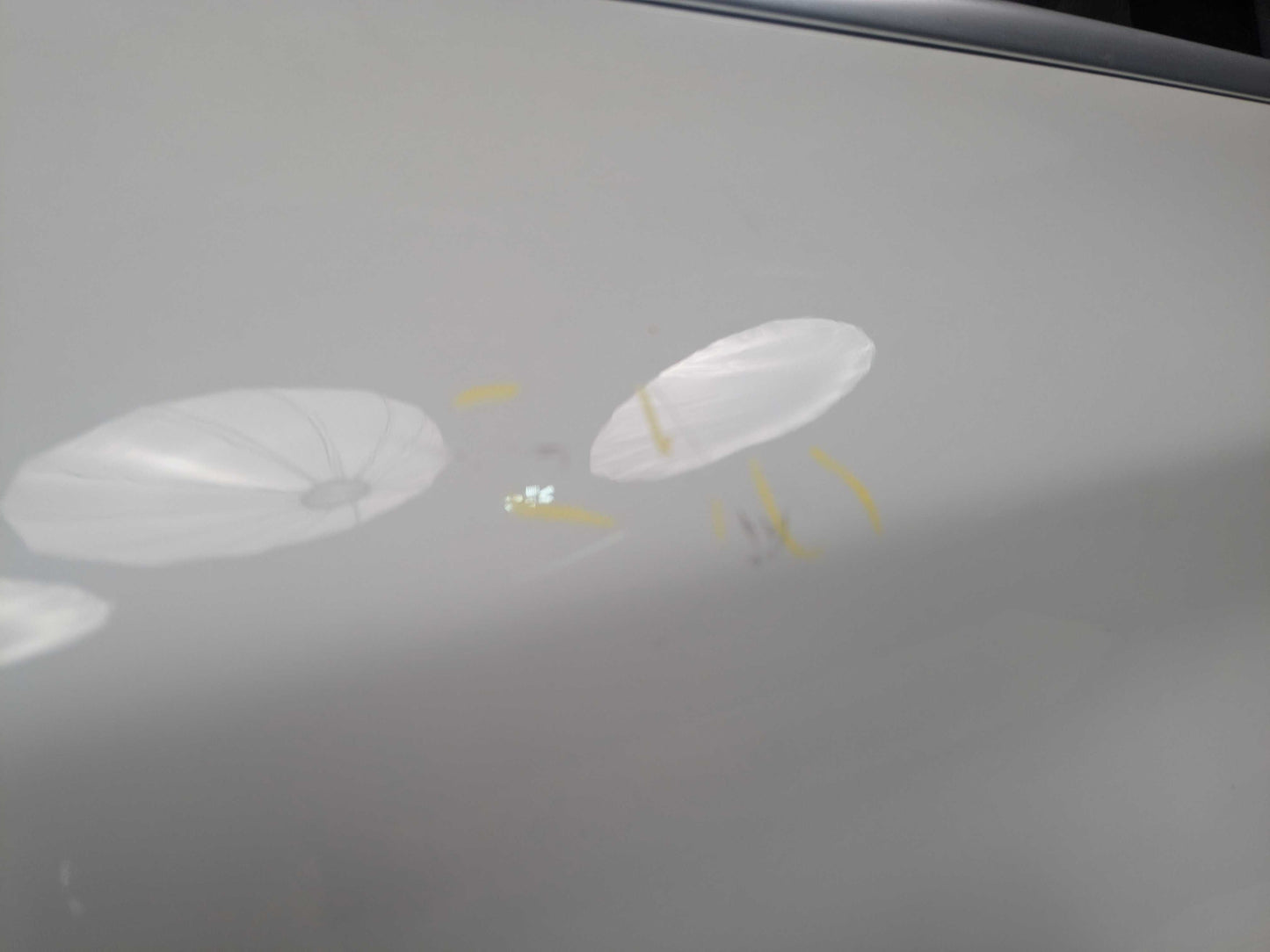 *16-22 OEM BMW F48 X1 28i 28iX Rear Right Passenger Door Shell Panel White