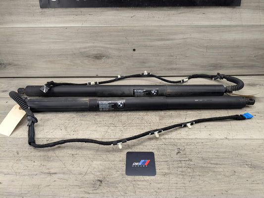 11-17 OEM BMW F25 X3 Rear Left Right Trunk Liftgate Hatch Shock Strut Supports