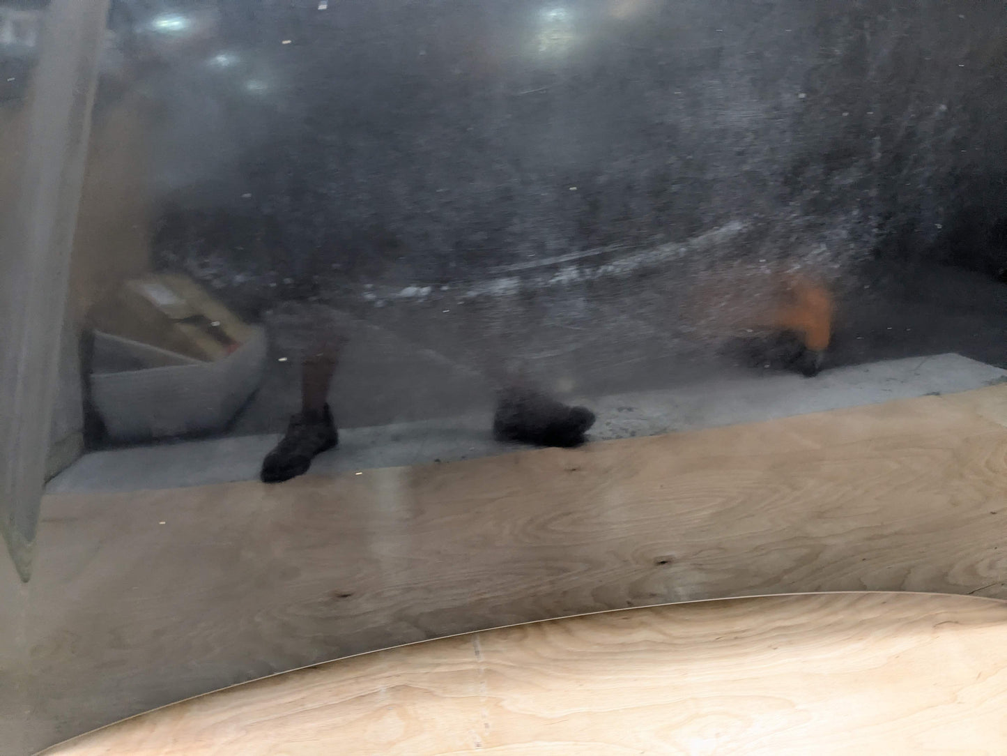 *OEM BMW F30 F32 F33 F36 328 330 335 430 435 440 Hood Panel Bonnet Shell Black