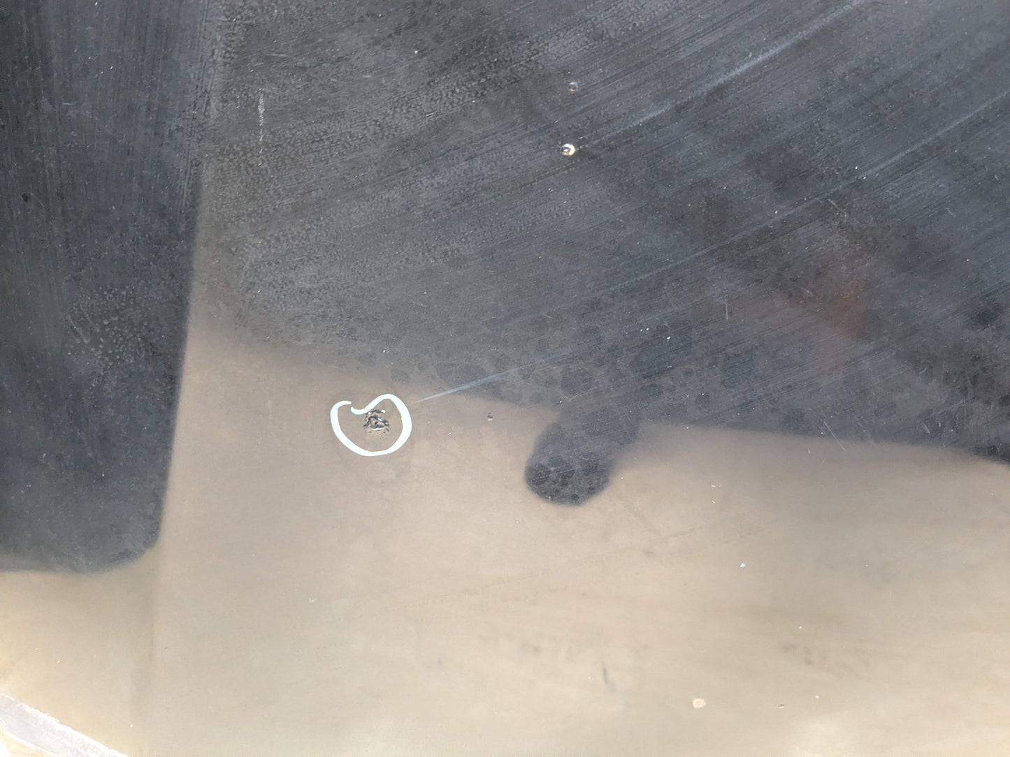 *13-17 OEM AUDI A5 S5 RS5 Hood Bonnet Panel Black