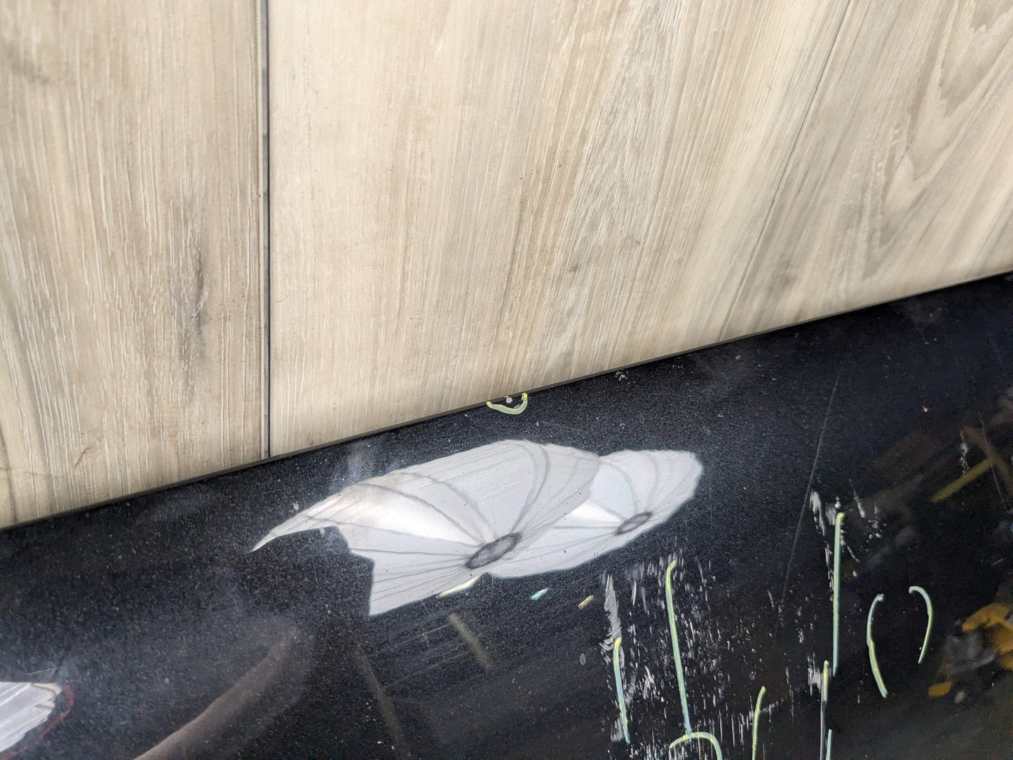 *13-17 OEM AUDI A5 S5 RS5 Hood Bonnet Panel Black