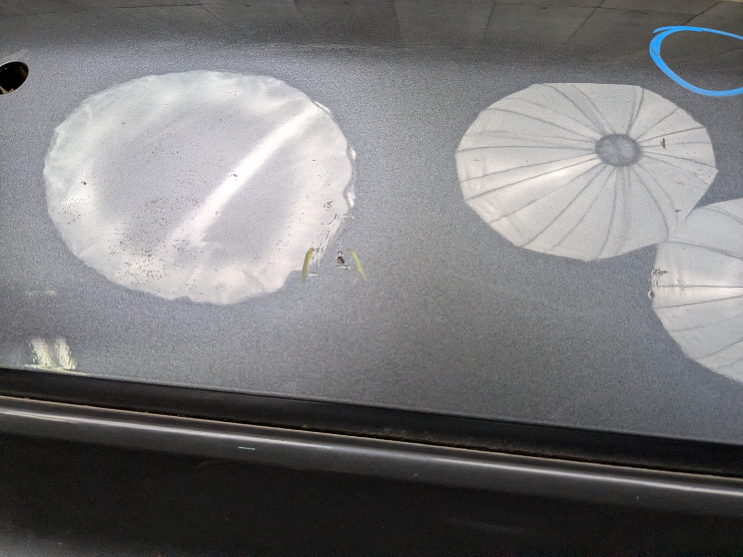 *19-22 OEM BMW G20 330 M SPORT Rear Bumper Cover Panel w Diffuser Gray B39